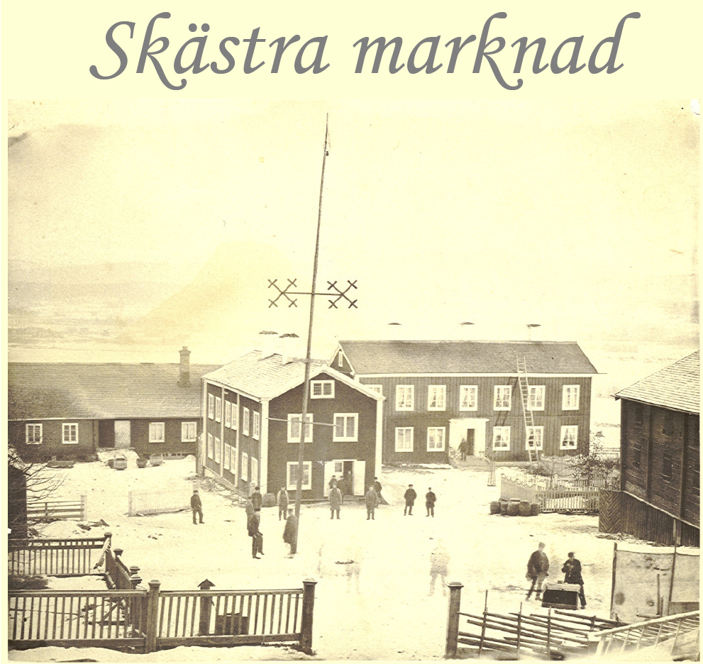 Skriften om Winter-kriget på Skästra marknad 1869.